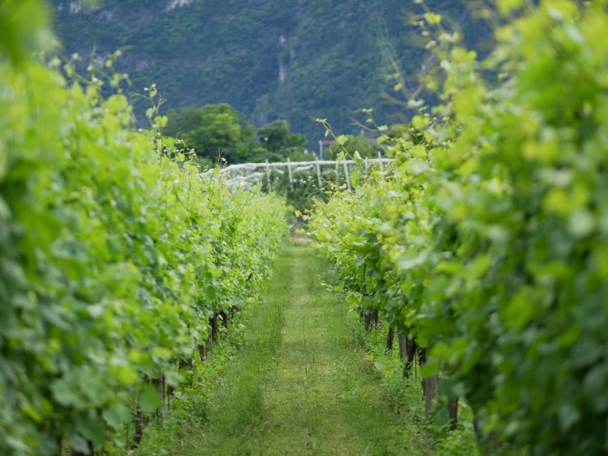 Agriturismo Casa Di Campagna Riva del Garda Exteriör bild