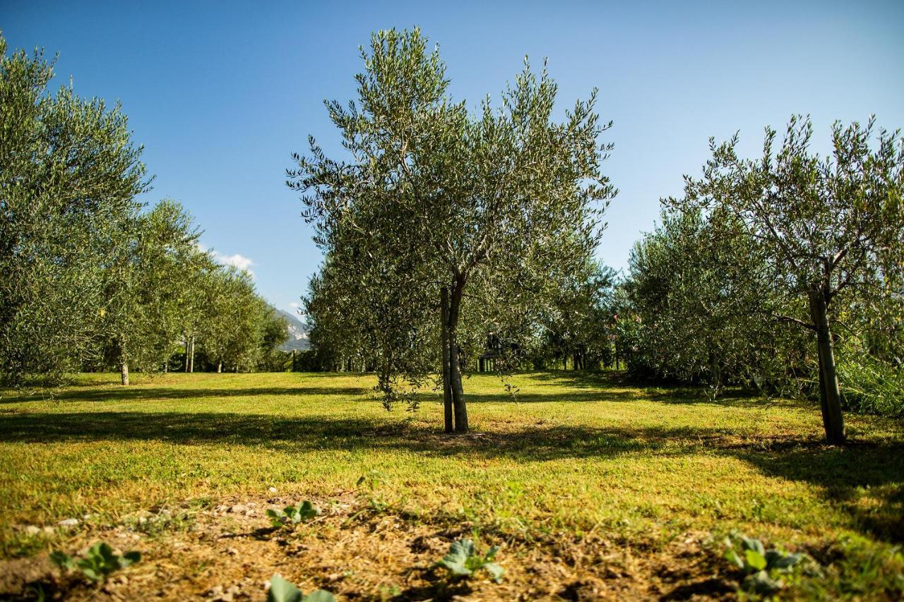 Agriturismo Casa Di Campagna Riva del Garda Exteriör bild