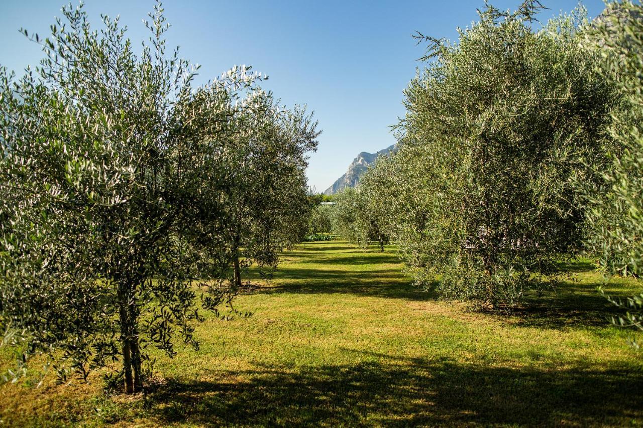 Agriturismo Casa Di Campagna Riva del Garda Exteriör bild