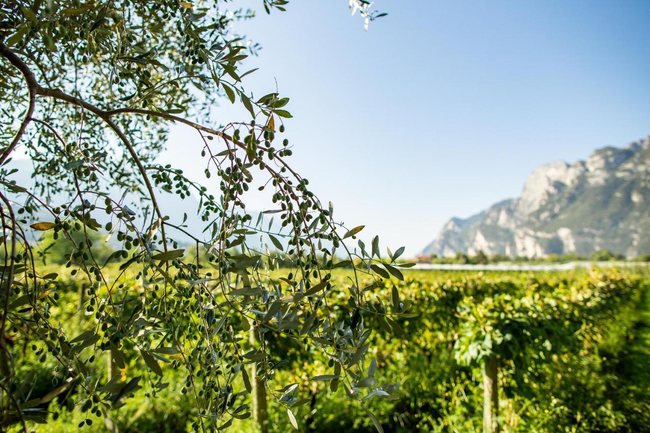 Agriturismo Casa Di Campagna Riva del Garda Exteriör bild