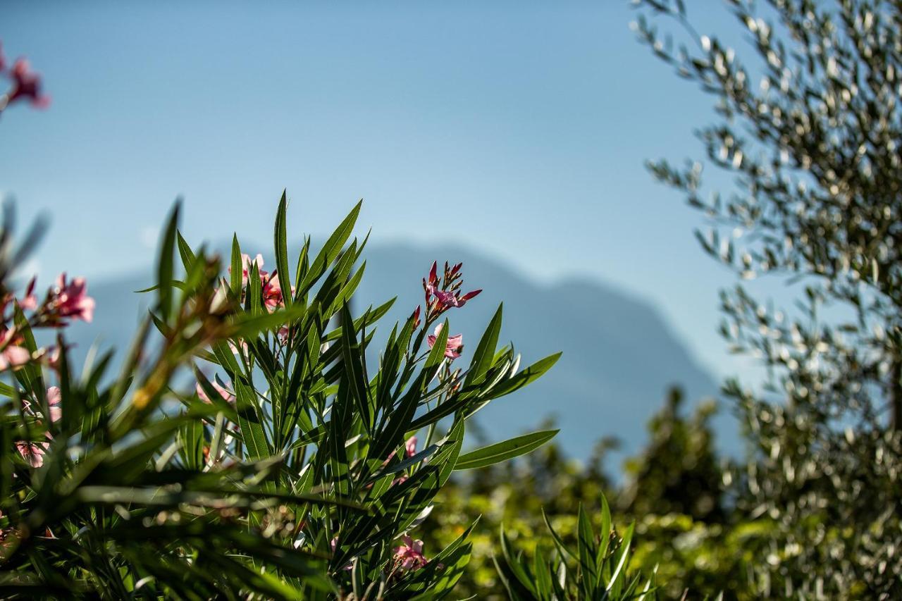Agriturismo Casa Di Campagna Riva del Garda Exteriör bild